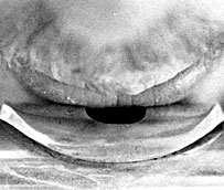 Embouchure viewed from above