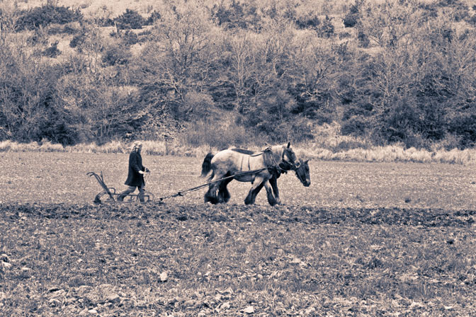 Farming at the Community of the Ark