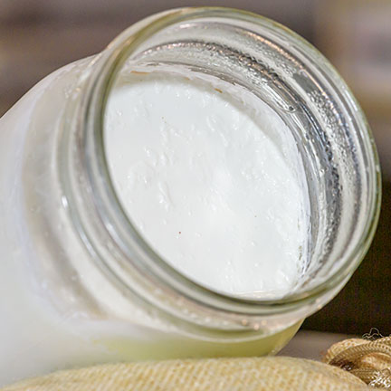 Photo: L. reuteri yogurt with no L. reuteri